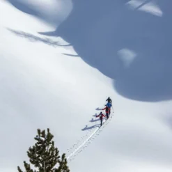 DALBELLO Bottes De Randonnée Quantum Free Asolo Factory 130 -Pas Cher Regatta Magasin dalbello bottes de randonnee quantum free asolo factory 130 7